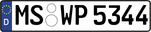 MS-WP5344