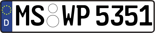 MS-WP5351