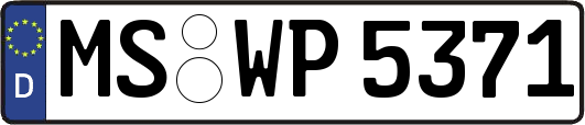 MS-WP5371