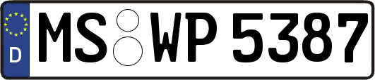 MS-WP5387