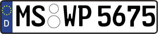 MS-WP5675