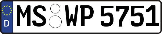 MS-WP5751