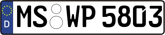MS-WP5803