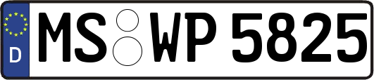 MS-WP5825