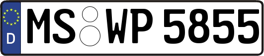 MS-WP5855