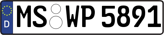 MS-WP5891