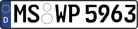 MS-WP5963
