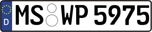 MS-WP5975