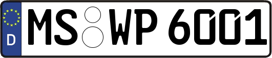 MS-WP6001