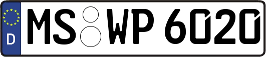 MS-WP6020