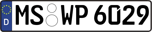 MS-WP6029