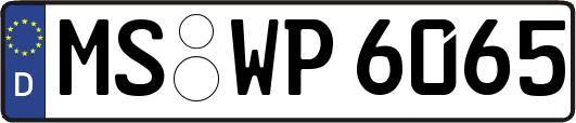 MS-WP6065
