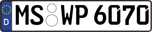 MS-WP6070