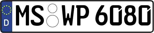 MS-WP6080