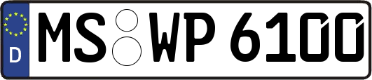 MS-WP6100