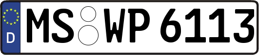 MS-WP6113