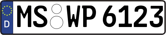 MS-WP6123