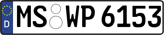 MS-WP6153
