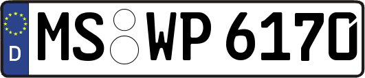 MS-WP6170