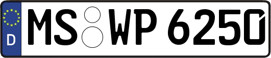 MS-WP6250