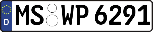 MS-WP6291