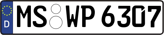 MS-WP6307