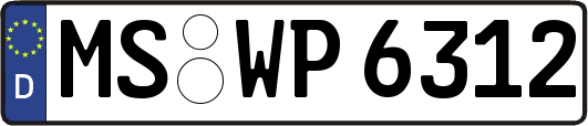 MS-WP6312