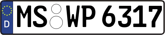 MS-WP6317