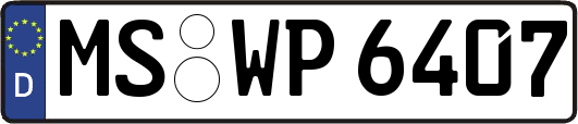 MS-WP6407