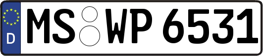 MS-WP6531