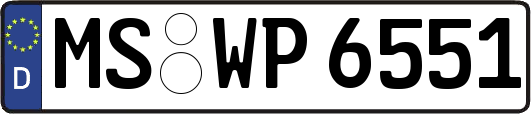 MS-WP6551
