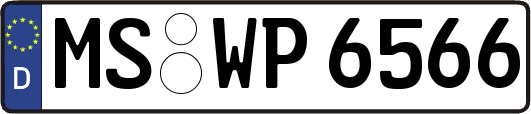 MS-WP6566