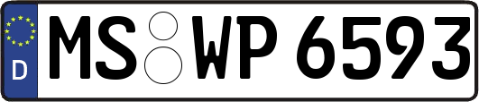 MS-WP6593