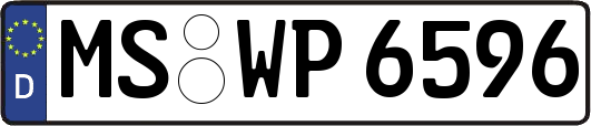 MS-WP6596