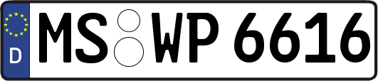 MS-WP6616