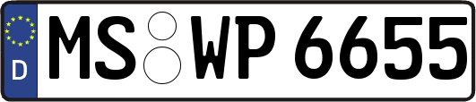 MS-WP6655