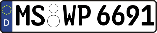 MS-WP6691