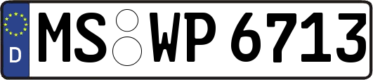 MS-WP6713
