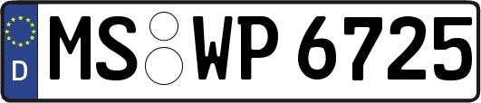MS-WP6725