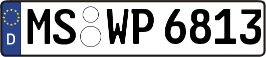 MS-WP6813