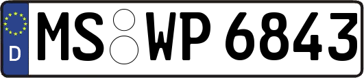 MS-WP6843