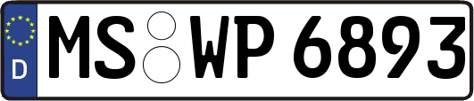 MS-WP6893