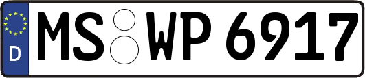 MS-WP6917