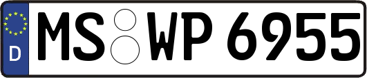 MS-WP6955