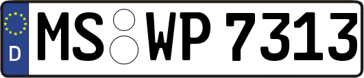 MS-WP7313