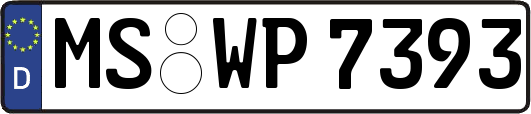 MS-WP7393