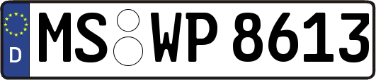 MS-WP8613