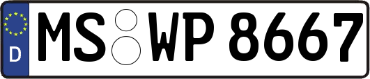 MS-WP8667