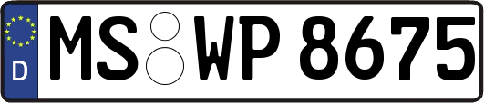 MS-WP8675