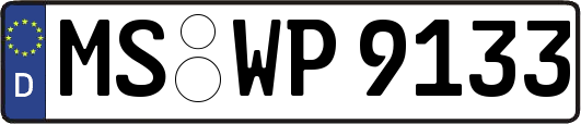 MS-WP9133